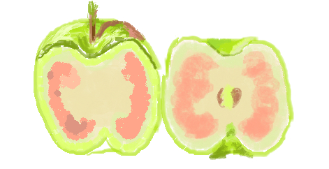 digital drawing of a green apple, cut in half. the two halves are positioned side by side with their open flesh showing peach colour. one of the halves has the stem still attached, the other half shows the seeds in its centre.