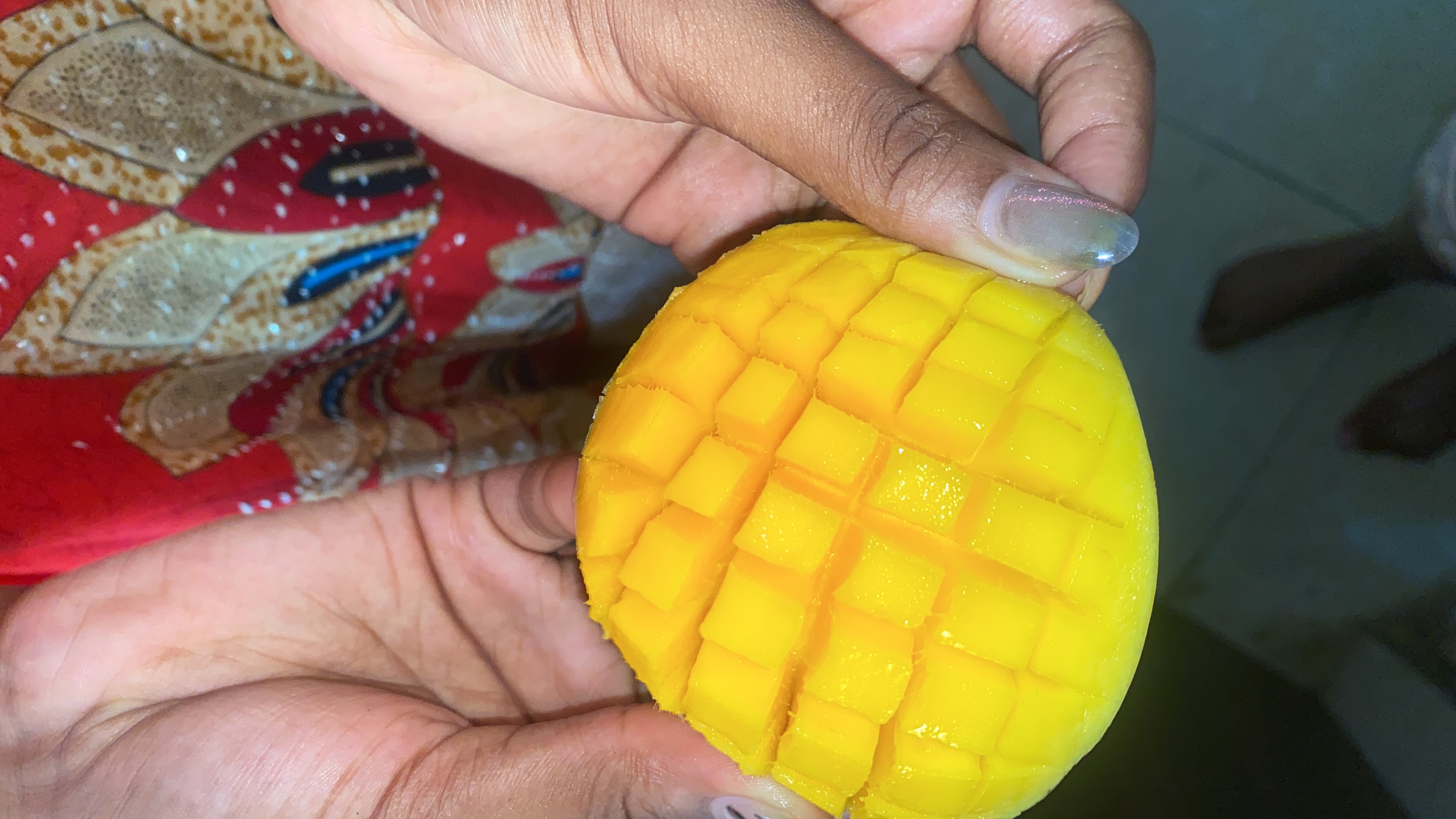 A hand holding a mango, cut in half with the flesh cut into many cubes